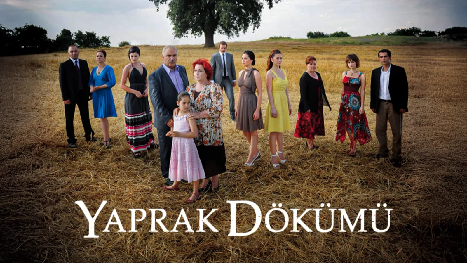 ko pada listje